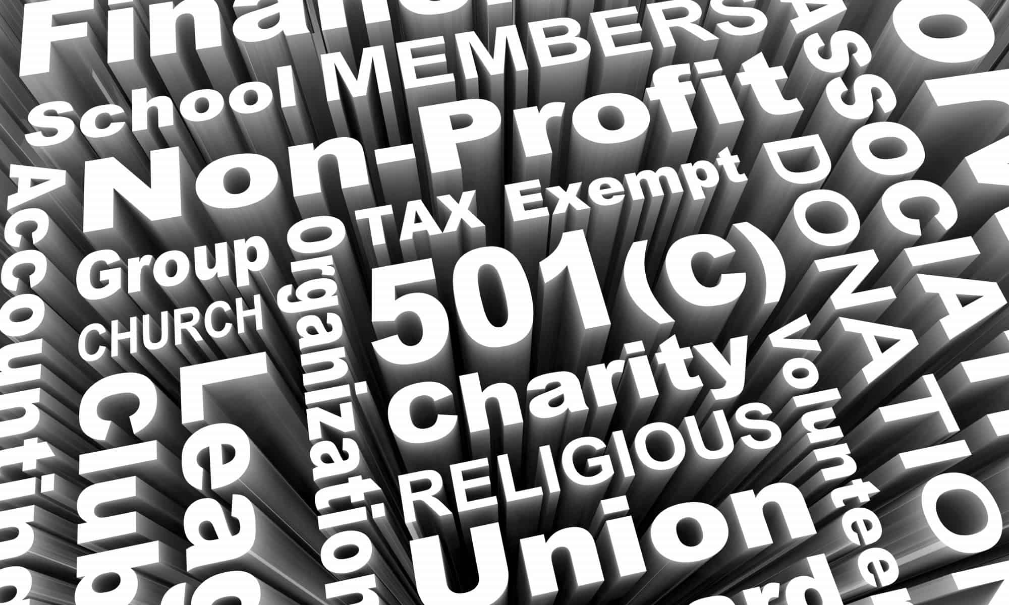 successful nonprofit