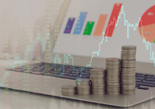 What is Financial Oversight?