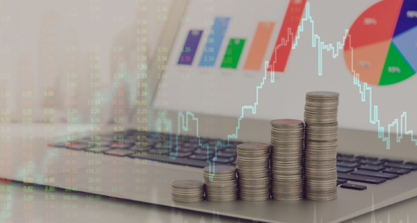 What is Financial Oversight?