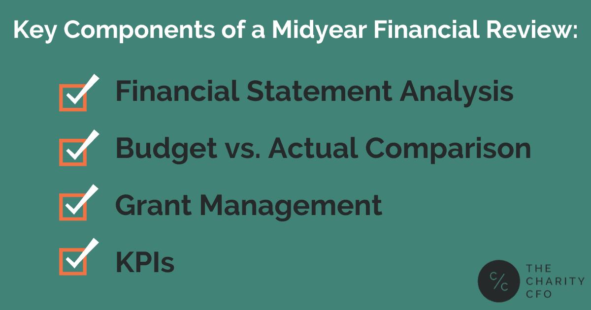 Nonprofit financial review