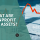 what-are-net-assets-nonprofit