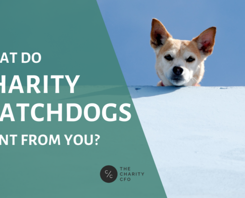 charity_watchdogs_cover