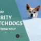 charity_watchdogs_cover