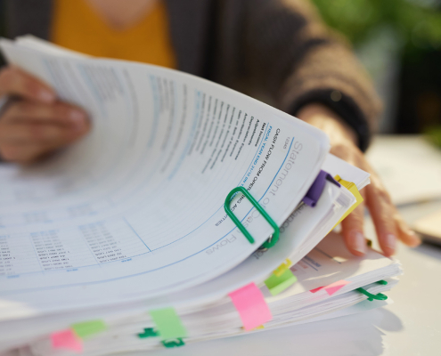 Accountant Woman Working With Documents