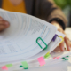 Accountant Woman Working With Documents