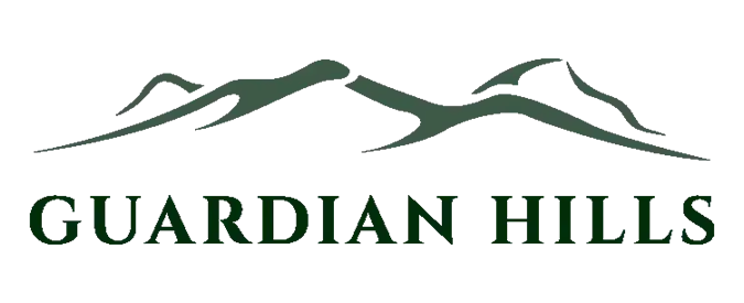 Guardian Hills 1