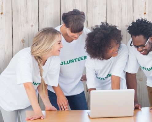 Volunteer Grants Feature